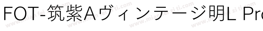 FOT-筑紫Aヴィンテージ明L Pro R字体转换